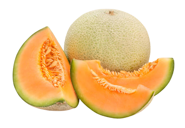 image_not_found